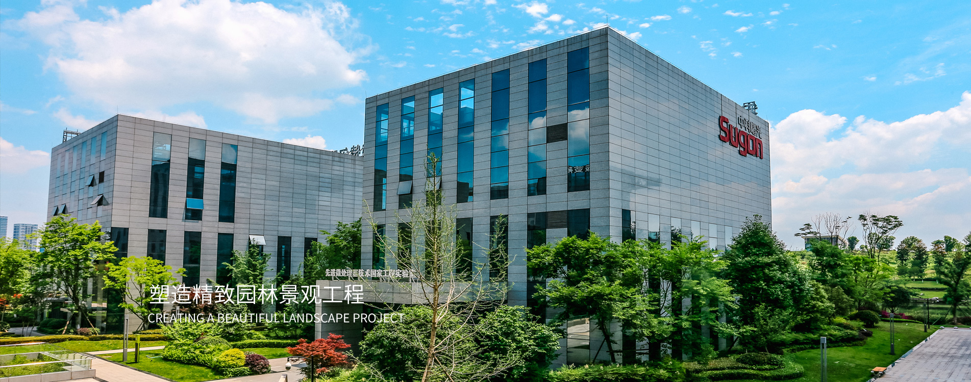 星空国际体育官网